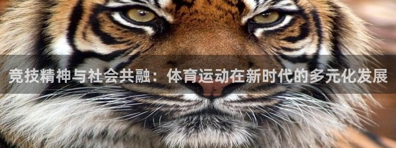 ug环球官网注册