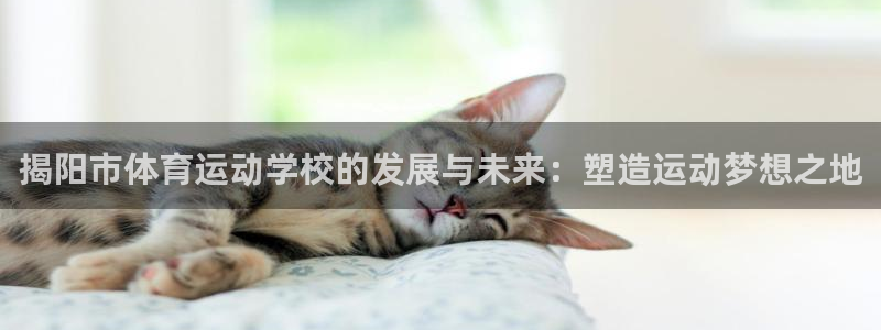 菲律宾ug环球官网
