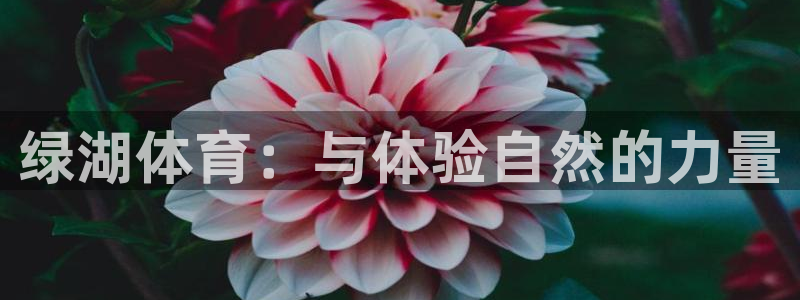 ug环球官网登录入口