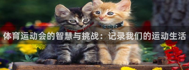 ug环球官网登录入口